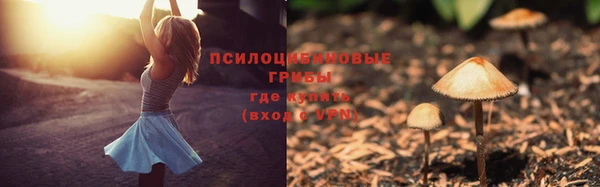 эйфоретик Алзамай