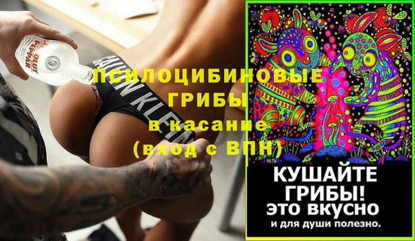 соль ск Алексеевка
