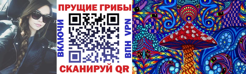 Галлюциногенные грибы Cubensis  Павловская 