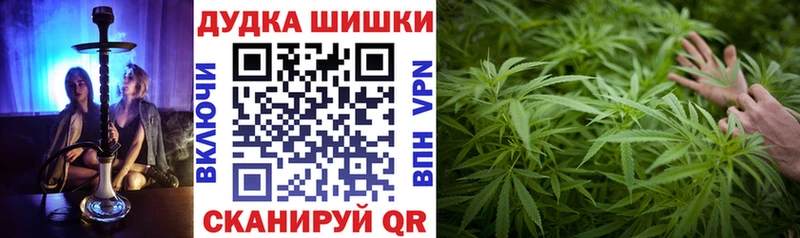 Шишки марихуана ГИДРОПОН  гидра ONION  Павловская  наркота 